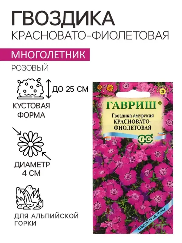 Семена Гвоздика "Красновато-фиолетовая", ц/п,0,02 г