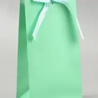 Пакет подарочный с лентой &laquo;Бирюзовый&raquo; 13&times;23&times;7 см, 1 шт.