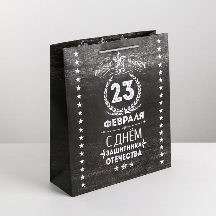 Пакет подарочный ламинированный вертикальный, упаковка, &laquo;Защитнику&raquo;, MS 18 х 23 х 10 см