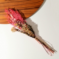 Букет из сухоцветов &laquo;Бал цветов&raquo;, 52 &times; 12 &times; 8 см