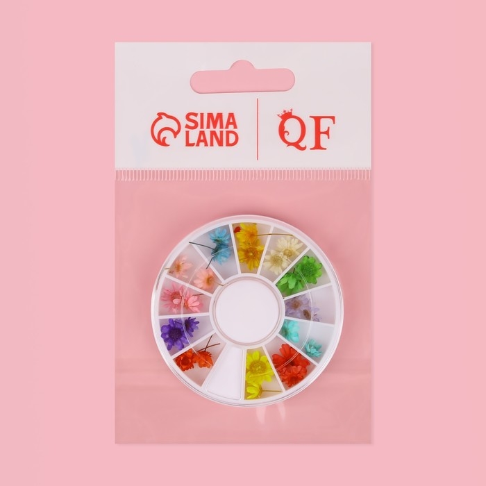 Сухоцветы для декора ногтей &laquo;Ромашки&raquo;, объёмные, 12 видов, в футляре, разноцветные