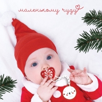 Держатель для соски - пустышки &laquo;Медвежонок&raquo;, новогодний, на цепочке, цвет белый, подарочная упаковка, Крошка Я