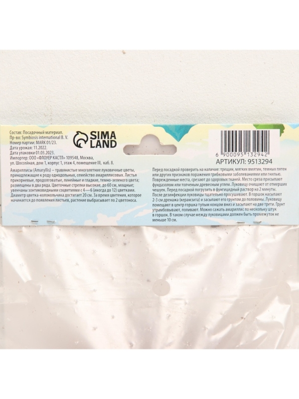 Амариллис Samba, многолетник, луковица, р-р 22/24, 1 шт.