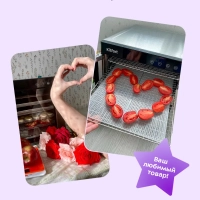 Сушилка для овощей и фруктов KT-1911 - 650 Вт