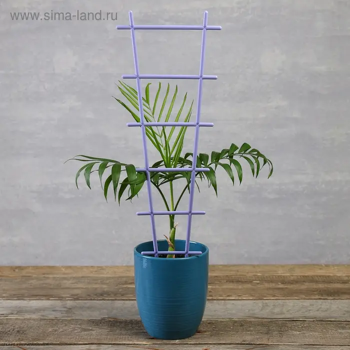 Шпалера, 56 &times; 19 &times; 0.5 см, пластик, цвет МИКС, &laquo;Лесенка&raquo;