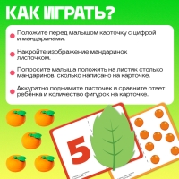 Развивающий набор &laquo;Считаем мандаринки&raquo;, Чебурашка