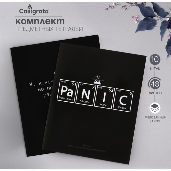 Комплект предметных тетрадей 48 листов "На Чёрном", 10 предметов, со справочным материалом, обложка мелованный картон, УФ-лак (полный), блок офсет