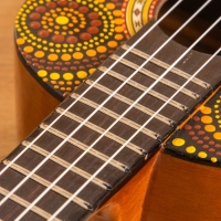 Сувенирный музыкальный инструмент Укулеле &laquo;Туземец&raquo;, 55 см, махагон, дерево