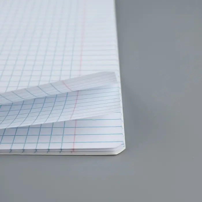 Тетрадь в клетку 18 листов А5, на скрепке &laquo;Школа&raquo;, обложка мелованный картон, 5 видов МИКС