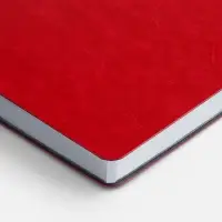 Ежедневник Nebraska Flex, недатированный, красный с серебристым