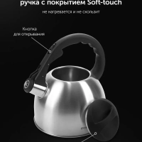 Чайник для плиты со свистком 2,2 л. для индукции