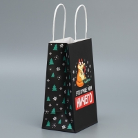 Пакет подарочный новогодний крафтовый &laquo;Ничего&raquo;, 12 х 21 х 9 см, Новый год