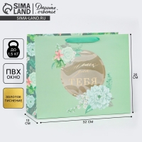 Пакет подарочный ламинированный с пластиковым окном, упаковка, &laquo;Тебе&raquo;, 32,5 х 26,5 х 13,5 см