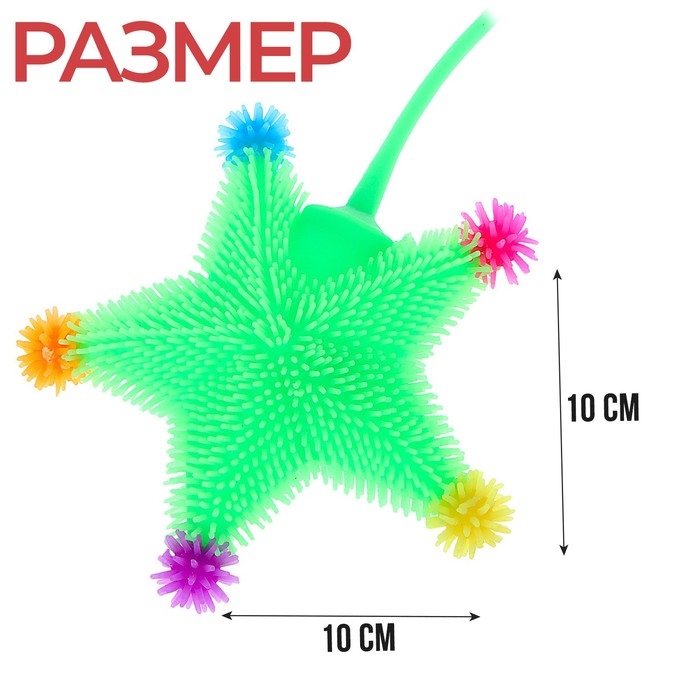 Антистресс сквиш мялка &laquo;Звёзды&raquo;, цвета МИКС, в шоубоксе