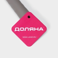 Щётка для окон Доляна &laquo;Элит&raquo;, целлюлозная губка 21&times;4 см, поворотный силиконовый водосгон27,5, 28&times;34&times;6 см, цвет МИКС