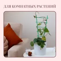 Шпалера, 47&times;19&times;0.5 см, пластик, зелёная