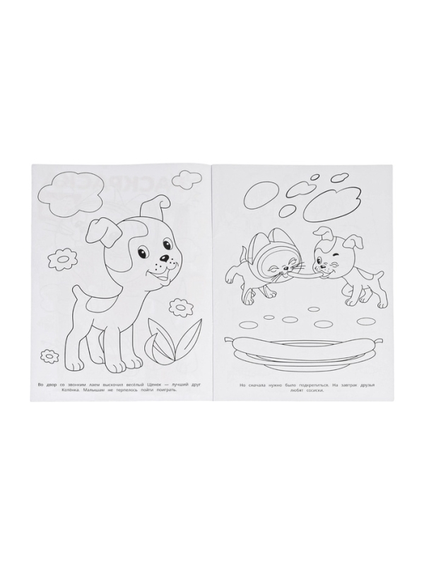 Раскраска "Приключения котёнка. Союзмультфильм." 16 стр.
