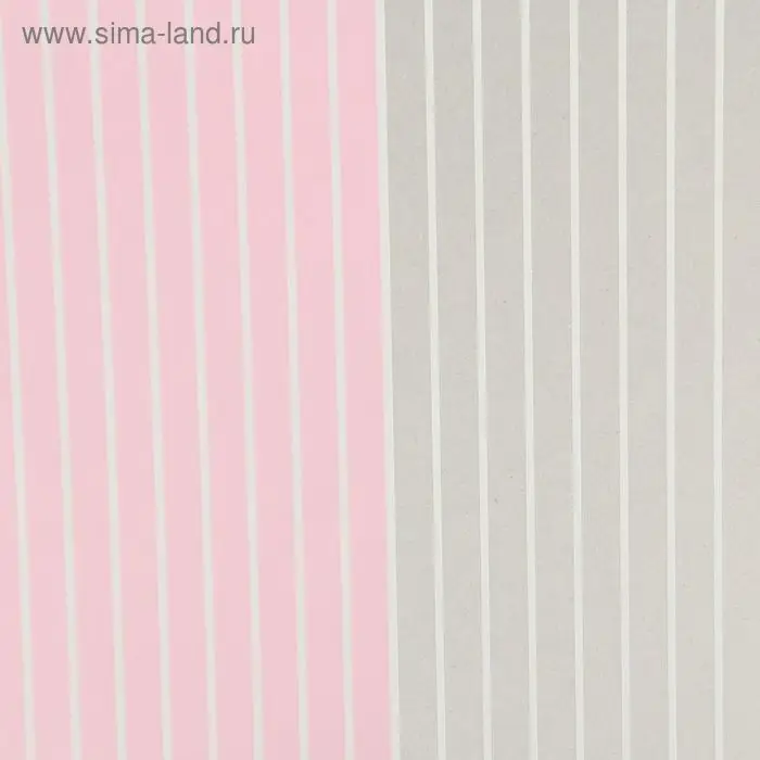 Пленка для цветов матовая "Полосы", 58 х 58 см