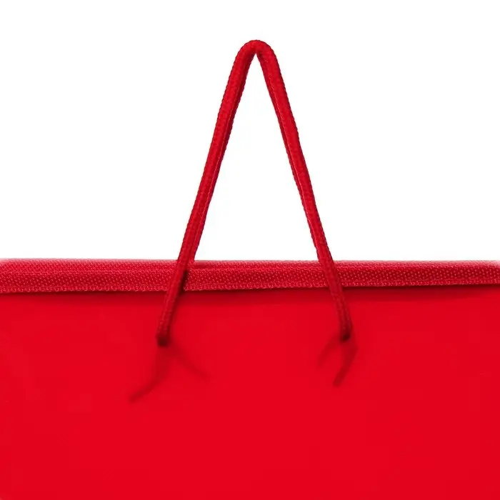 Папка с ручками А4, 325 х 240 х 25 мм, молния вокруг, пластиковая, "Офис"