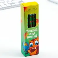 Ручка пиши-стирай, синяя паста, гелевая, 0.5 мм с колпачком &laquo;Открой мир знаний&raquo;