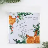 Ароматизатор для дома &laquo;Тепла и уюта&raquo;, аромат апельсин, 11 х 11 см