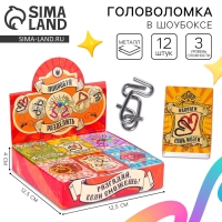 Головоломка &laquo;Для твоего IQ&raquo; металл, МИКС, в шоубоксе