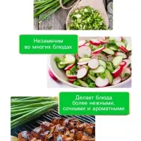 Семена Лук порей "Карантанский", 0,1 г