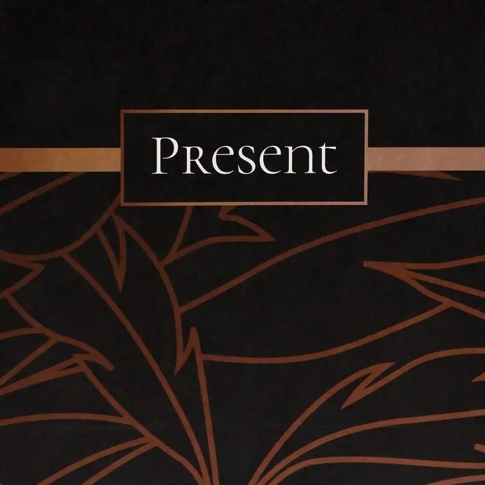 Пакет подарочный крафтовый Present 18&times;8&times;25 см, 120 г/м&sup2;