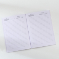 Ежедневник в тонкой обложке А5, 80 л &laquo;Почта&raquo;