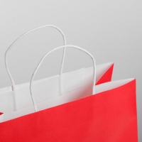 Пакет подарочный новогодний крафт &laquo;С НГ&raquo;, 32 х 28 х 15 см, Новый год