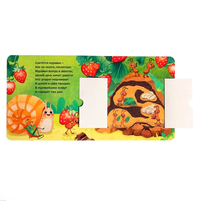 Картонные книги с окошками &laquo;Что внутри?&raquo;, набор 3 шт. по 12 стр.