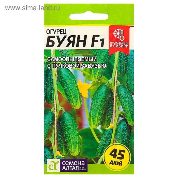 Семена огурца "Буян", 5 шт.
