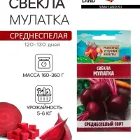 Семена Свёкла "Мулатка", 2 г