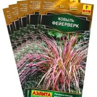 Набор семян Ковыль "Фейерверк", 5 шт.