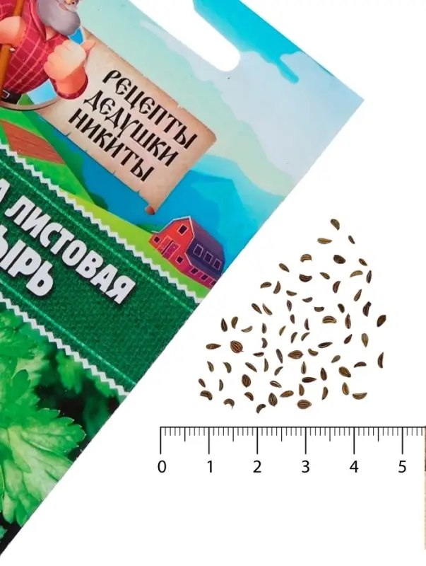 Семена петрушка листовая &laquo;Богатырь&raquo;, 2 г