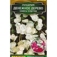 Семена цветов Лунария Денежное дерево, смесь сортов Дв Золотая серия, Ц/П,0,3 г