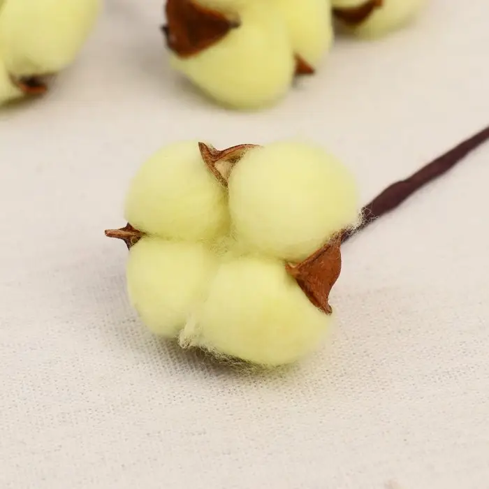 Декор сухоцвет &laquo;Хлопок&raquo;, h=30 см, d=5 см, жёлтый