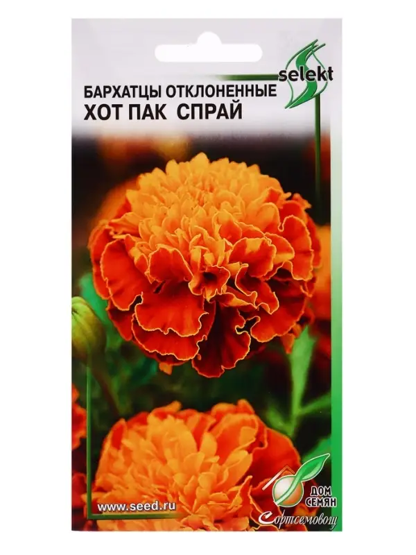 Семена цветов Бархатцы (тагетес) отклоненные Хот Пак Спрай 10 шт