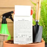 Семена Томат "Итальянские спагетти", среднеранний, индетерминантный 20 шт