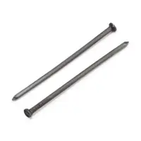 Гвозди ТУНДРА, строительные, ГОСТ 4028-63, без покрытия, 3&times;80 мм, фасовка 0.2 кг