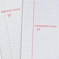 Тетрадь 12 листов в крупную клетку &laquo;Великолепная пятёрка&raquo;, бумажная обложка, МИКС