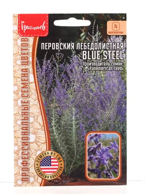 Семена цветов Перовския Blue Steel лебедолистная  3шт / НОВИНКА 12.29 г.