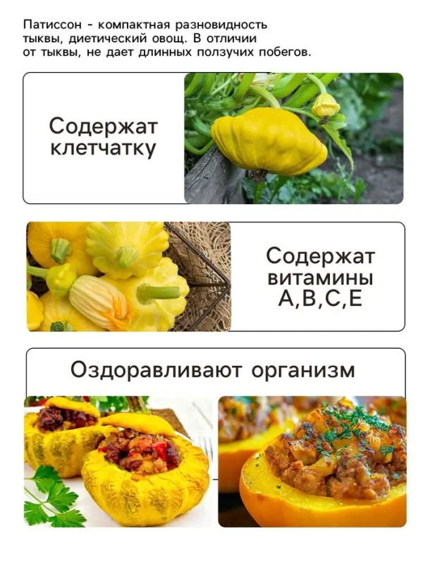 Семена Патиссон "Копейка", 0,6 г