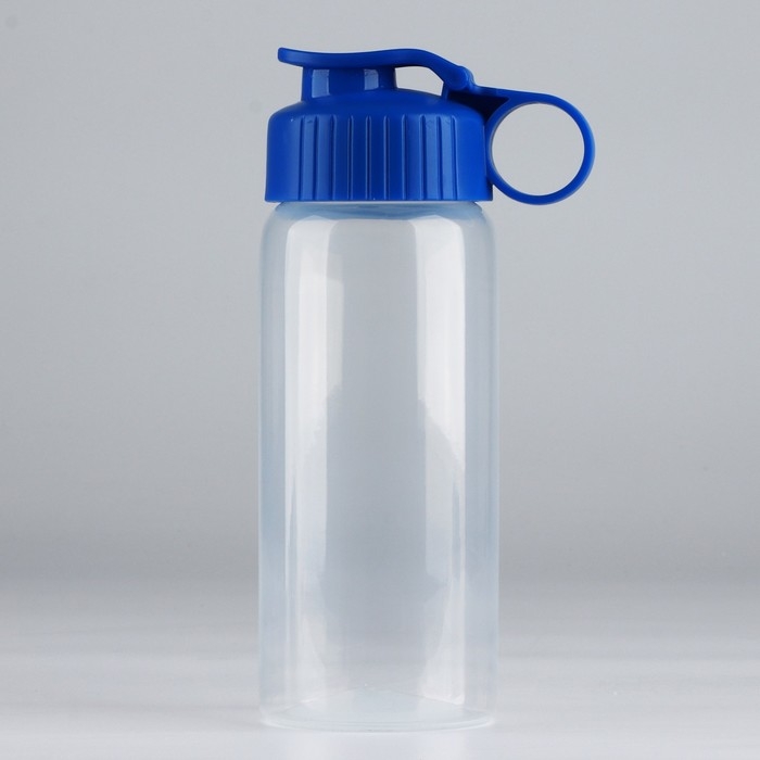 Бутылка для воды &laquo;Вид 5&raquo;, 450 мл