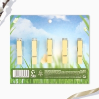 Набор прищепок для украшения вербы &laquo;Со Светлой Пасхой!&raquo;, 10 х 12 см.