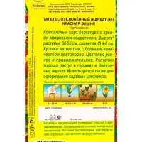 Семена цветов Бархатцы Красная вишня отклоненные , Ц/П,0,3 г