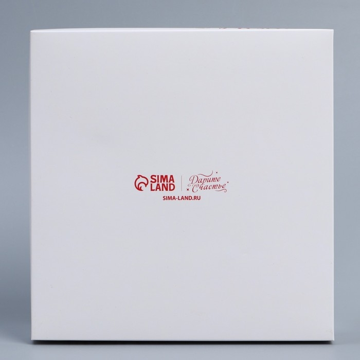 Коробка кондитерская для муссовых пирожных &laquo;Present&raquo;, 17.8 х 17.8 х 6.5 см