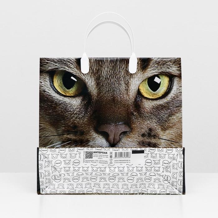 Пакет "Кэт", мягкий пластик, 30 х 30 см, 150 мкм