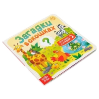 Книга картонная с окошками &laquo;Загадки в окошках&raquo; 10 стр.
