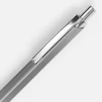 Ручка шариковая Alumno, серая